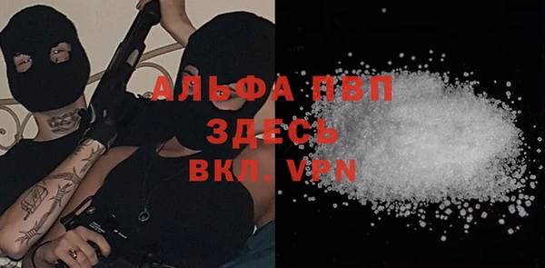 твердый Арсеньев