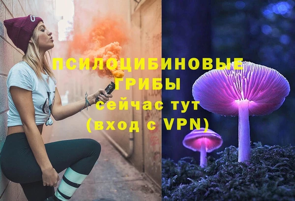 твердый Арсеньев