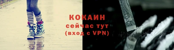 твердый Арсеньев