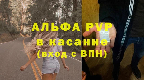 твердый Арсеньев