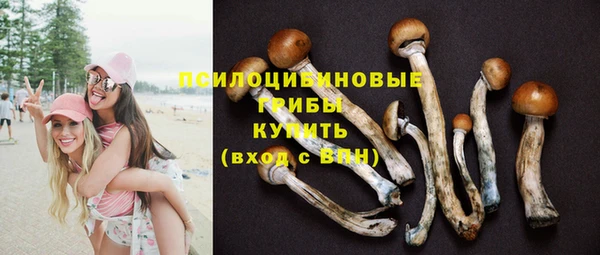 гашик Армянск