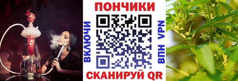 Каннабис сатива Оха